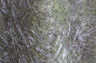 Alverdiscott fibreglass roof work